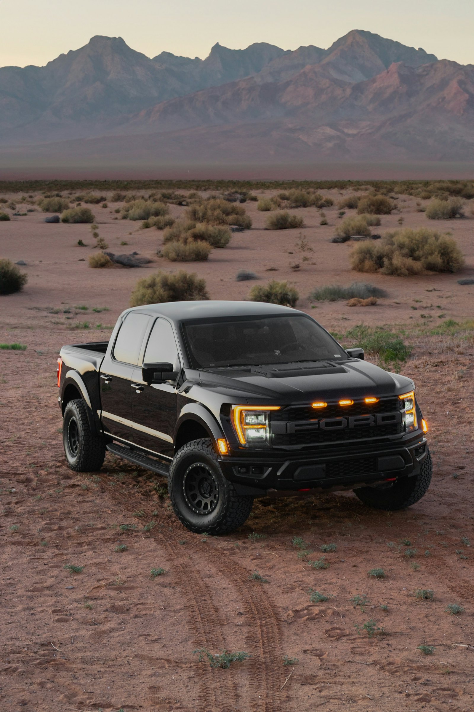Full Tint — Truck